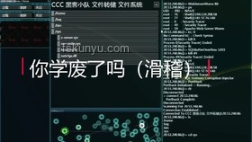 "bro的结局"：不同人生路径的深度对比分析